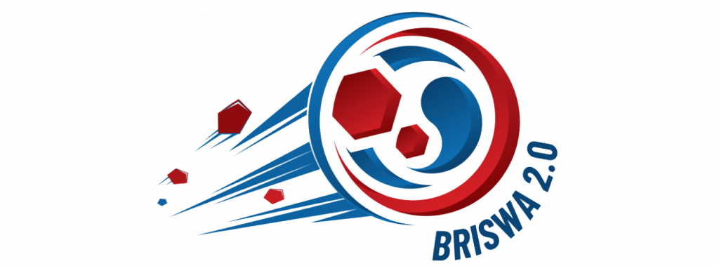 BRISWA2.0-logo