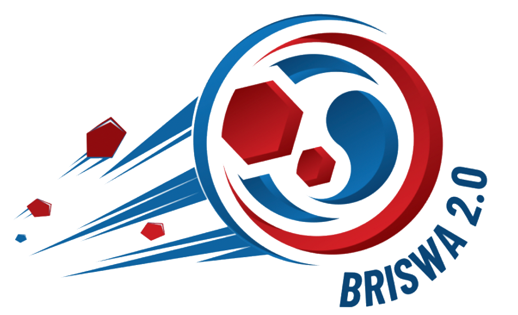 BRISWA2.0-logo